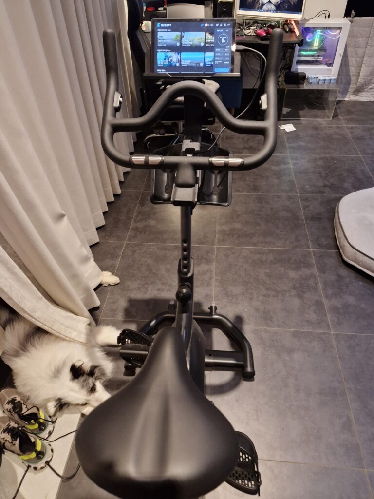 전세계 핫 스팟 라이딩 가능