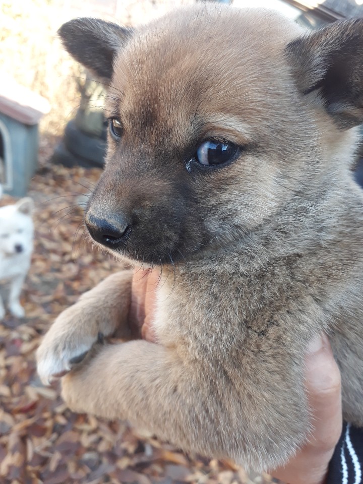 Jenny looking chicly at the camera