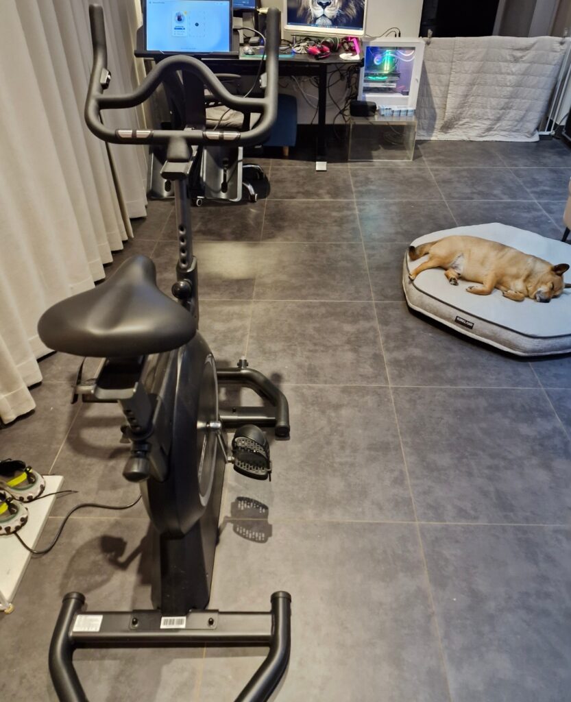 정숙 무소음 실내 자전거