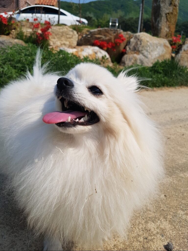 Happy Dorothy with a bright smile in the sunny Paju backyard