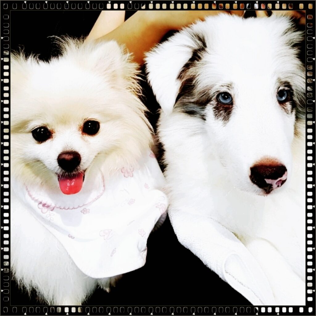 도심 속 드라이브를 즐기며 차 안에서 여유로운 시간을 보내는 레오와 도로시