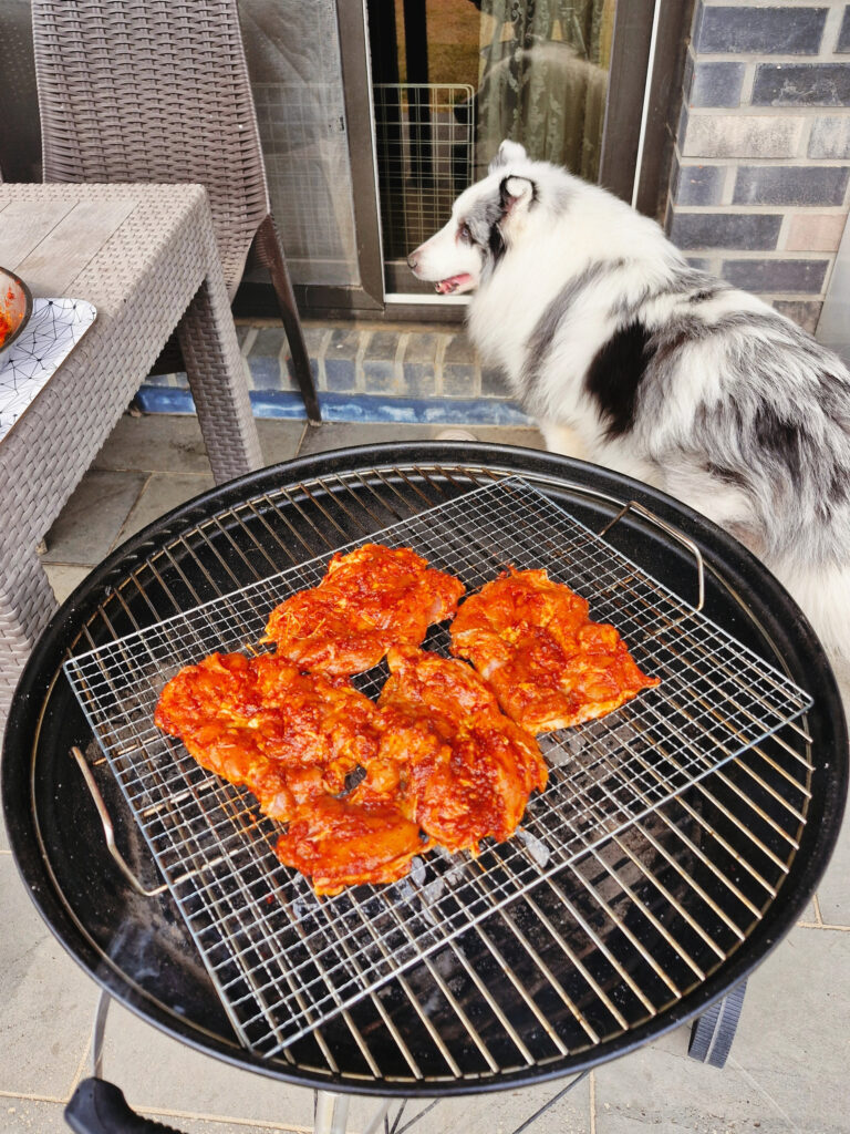 Placing marinated chicken thighs on a clean wire grill over a charcoal BBQ starter.