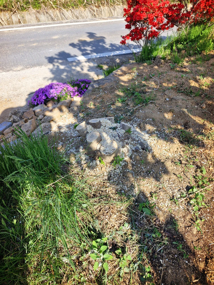 전동 전지가위 vs 미니 전기톱, 3년 써보고 알게 된 구조 차이