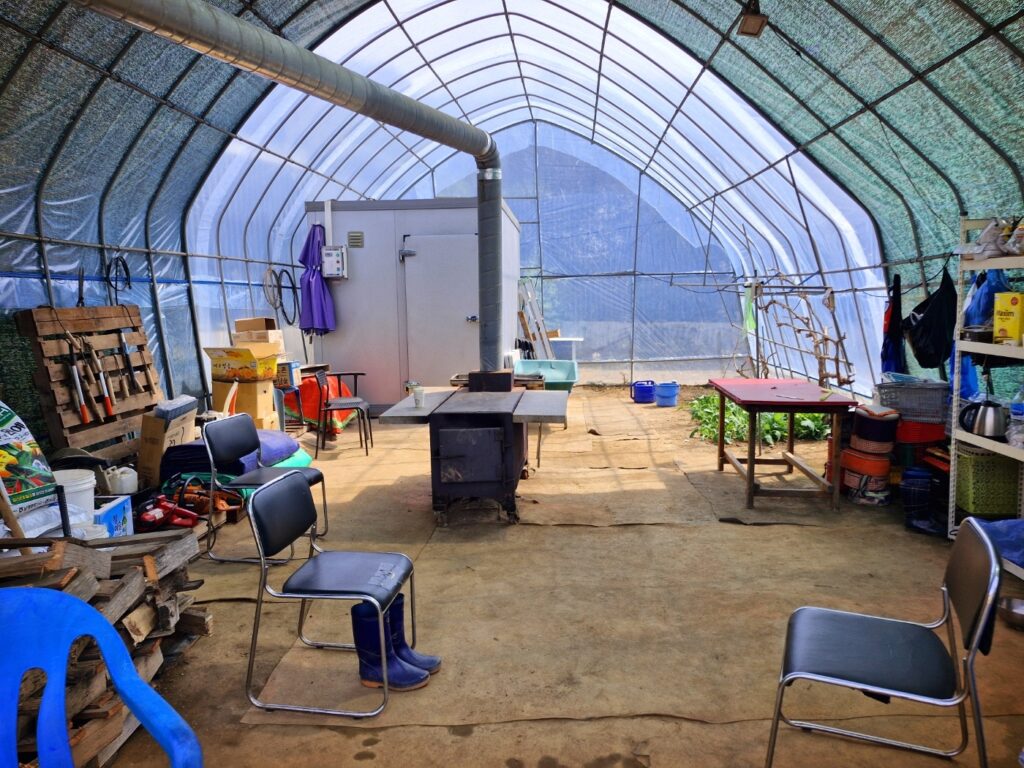 Exterior view of a functional vinyl greenhouse in the backyard.