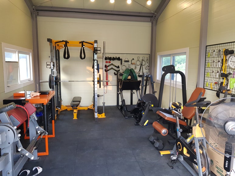 Vintage Iron Bull dual pulley half smith rack for strength training