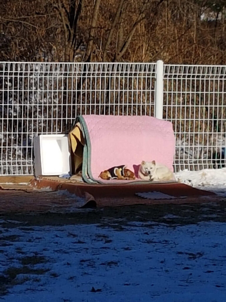 꽃님이와,제니 추운 겨울