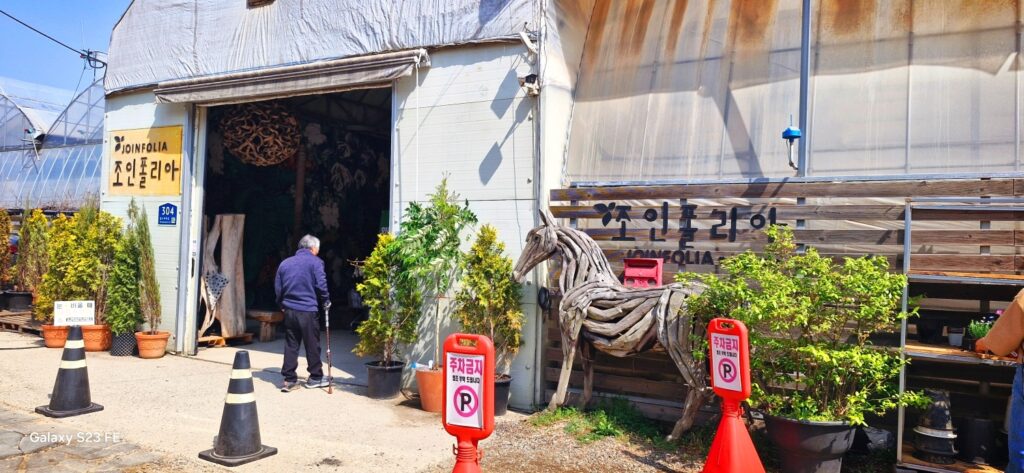 조인폴리아: 파주에서 봄을 통째로 사오는 방법 (서울 근교 ‘인생샷’ 정글 화원)