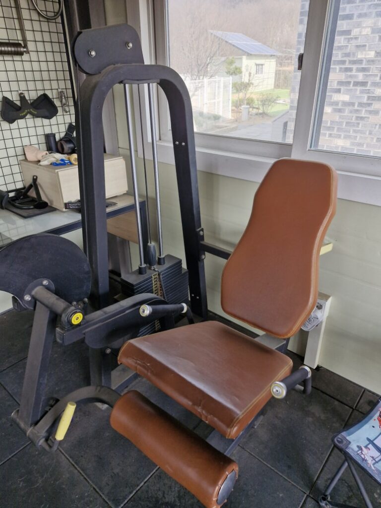 Isolation leg extension machine for lower body hypertrophy training