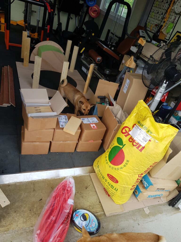 paju paradise pizza 6