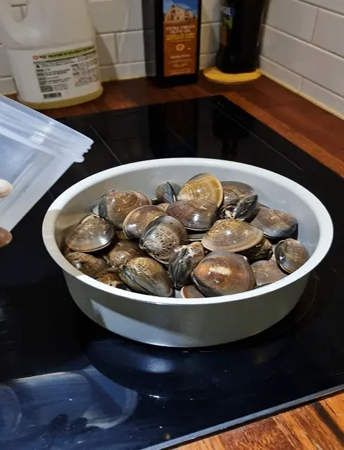 Pouring light lager beer and water over fresh clams in a pot.